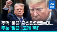 [영상] 첫 '중범죄' 전직 대통령…"트럼프, 최대 징역 4년 받을수도"