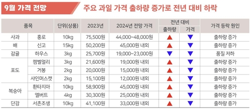 9월 과일 도매가격 전망