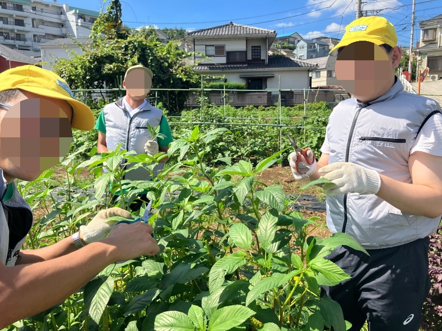 은둔 청년 사회 적응 프로그램