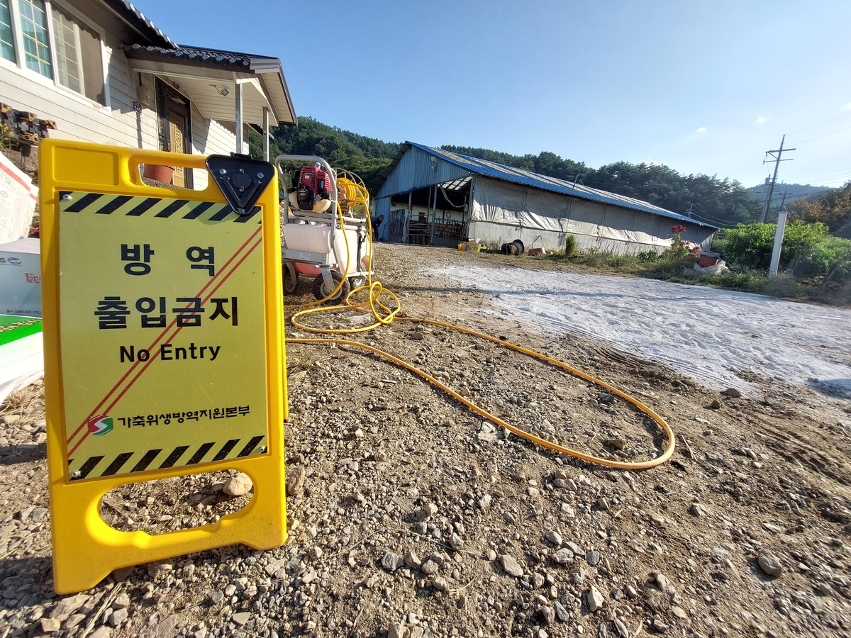 11일 오후 럼피스킨병 방역 중인 강원 양양군의 한 농가