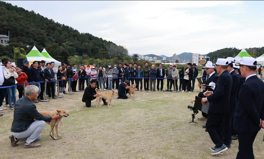 우수 진도개 선발대회, 26~27일 진도서 개최