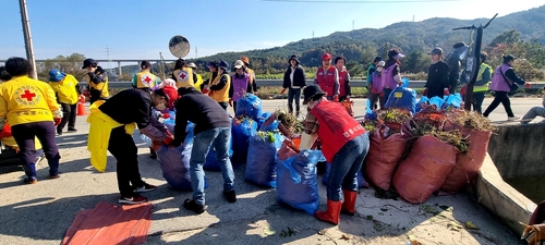 Campaign to remove plants that disrupt the ecosystem