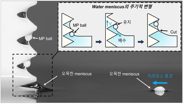 톱니바퀴에 표면장력에 의해 딸려 들어와 갇히는 미세플라스틱