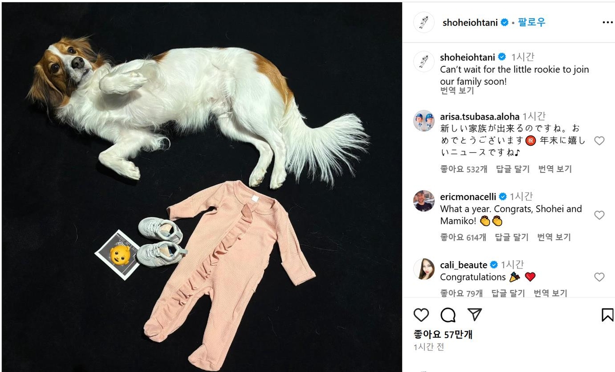 오타니 쇼헤이 인스타그램에 게시된 사진과 글