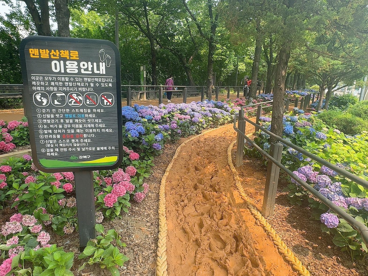 강북구 