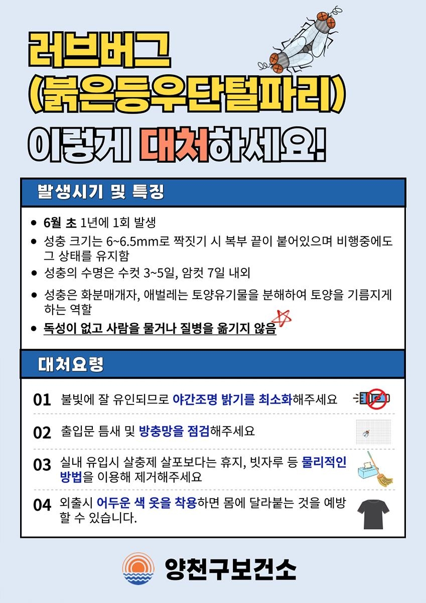 양천구, 여름철 불청객 