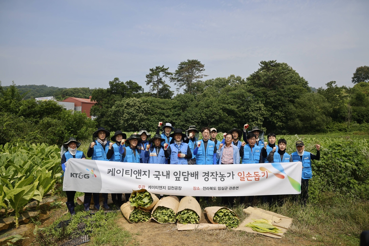 KT&G, 잎담배 농가에 4억원 지원…일손돕기 봉사활동…