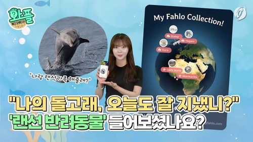 [와플] "나의 돌고래, 오늘도 잘지냈니"…'랜선반려동물' 들어보셨나요?