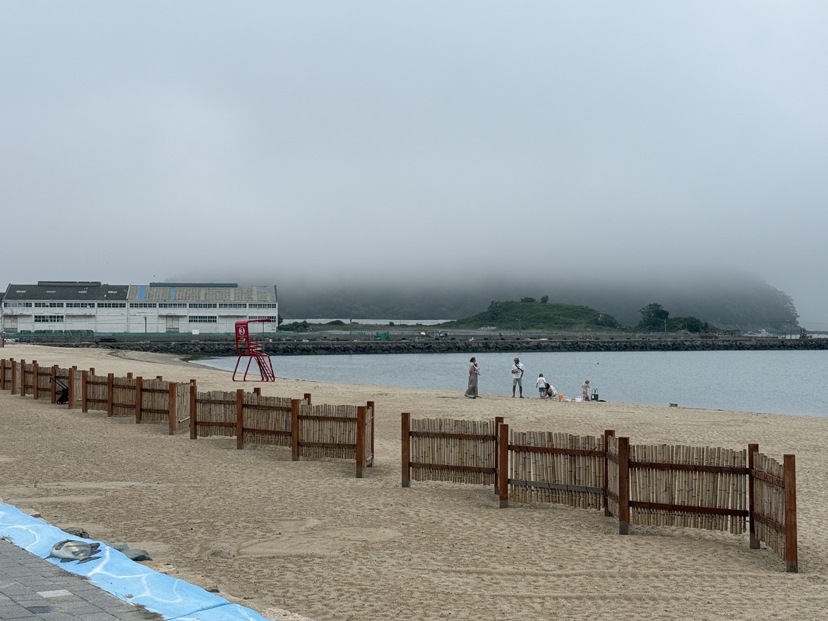 부산 다대포 동측 해변 우수관로 논란 속 30년만에 쓸…