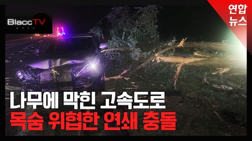 차량 6대 나무 충돌…목숨 걸고 2차 사고 막았더니 가해자라고?