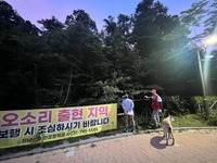 하남 위례신도시 도심 '오소리 주의보'…6월에만 3차례 출몰