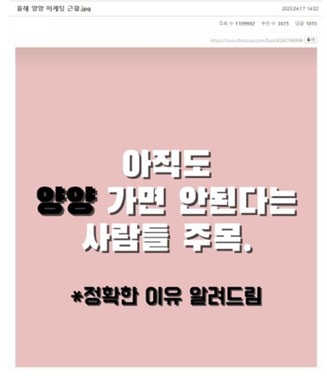 양양 비하 신조어까지… 허위 정보 확산에 무너지는 지역 상권 관련 이미지2