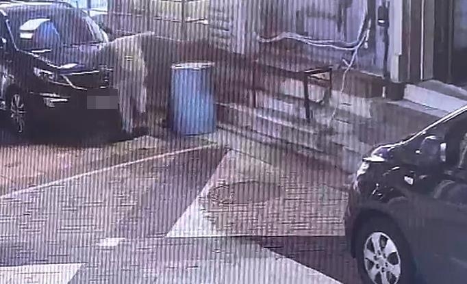 길고양이 안전고깔에 가두고 학대해 죽인 20대…경찰 수…