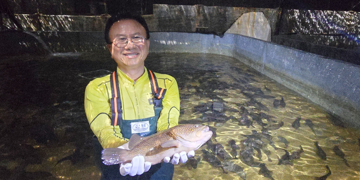제주서 '붉바리' 상업 양식 첫 성공...홍콩 수출 추진 - 뉴스 썸네일 이미지
