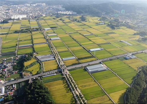 하늘에서 내려다본 의림지 뜰