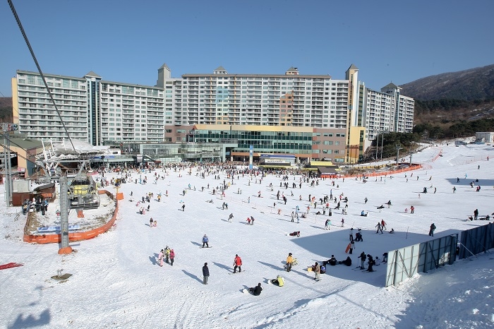 웰리힐리파크 겨울전경