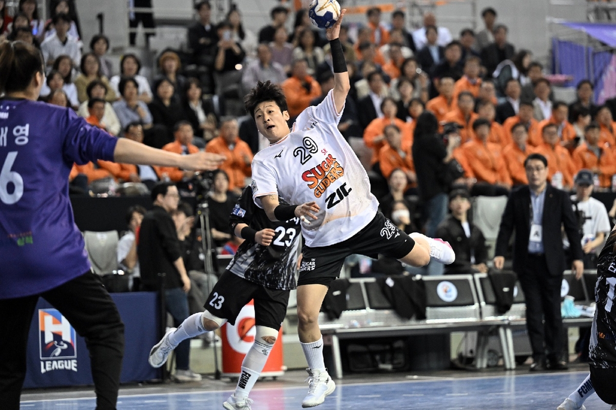 핸드볼 H리그 11월 15일 개막…내년 5월까지 7개 도시서 개최