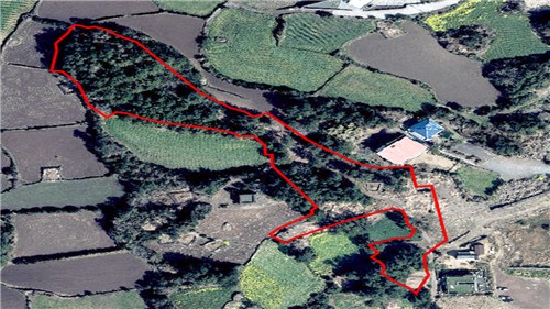 ÈѼյDZâ Àü ÀÓ¾ß »çÁø