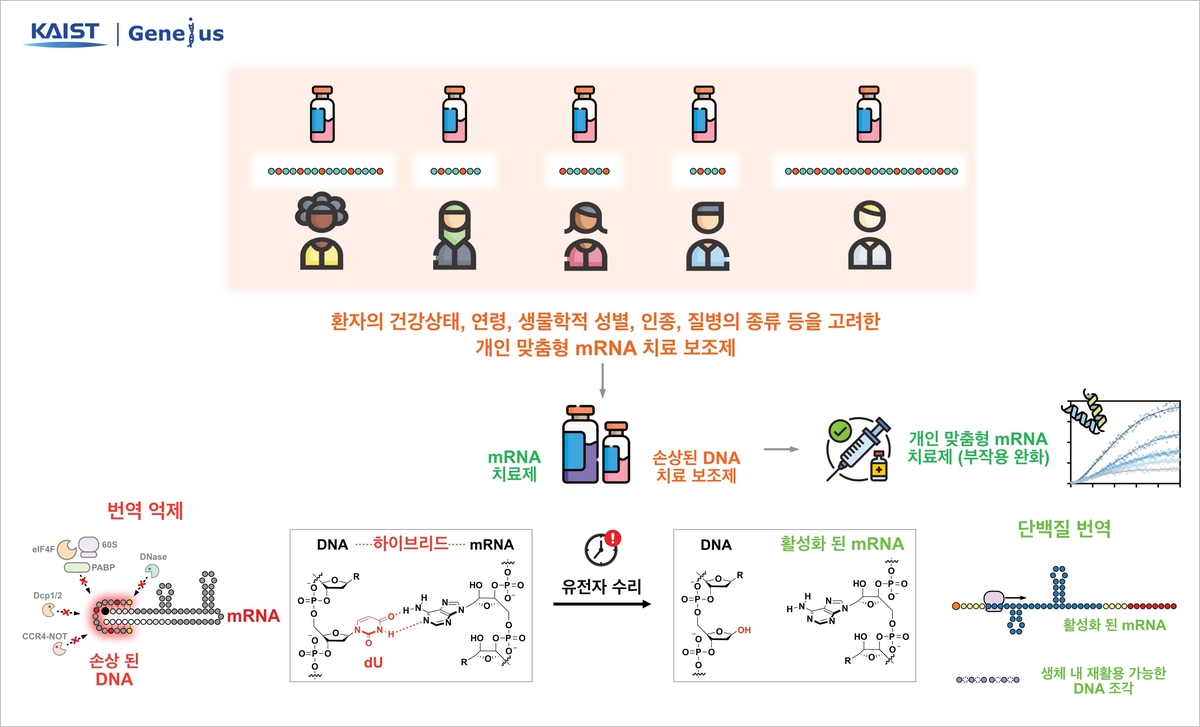 연구 모식도 ⓒ KAIST 제공