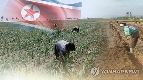 Corea del Norte considera buscar el apoyo de la Cruz Roja para superar la escasez crónica de alimentos