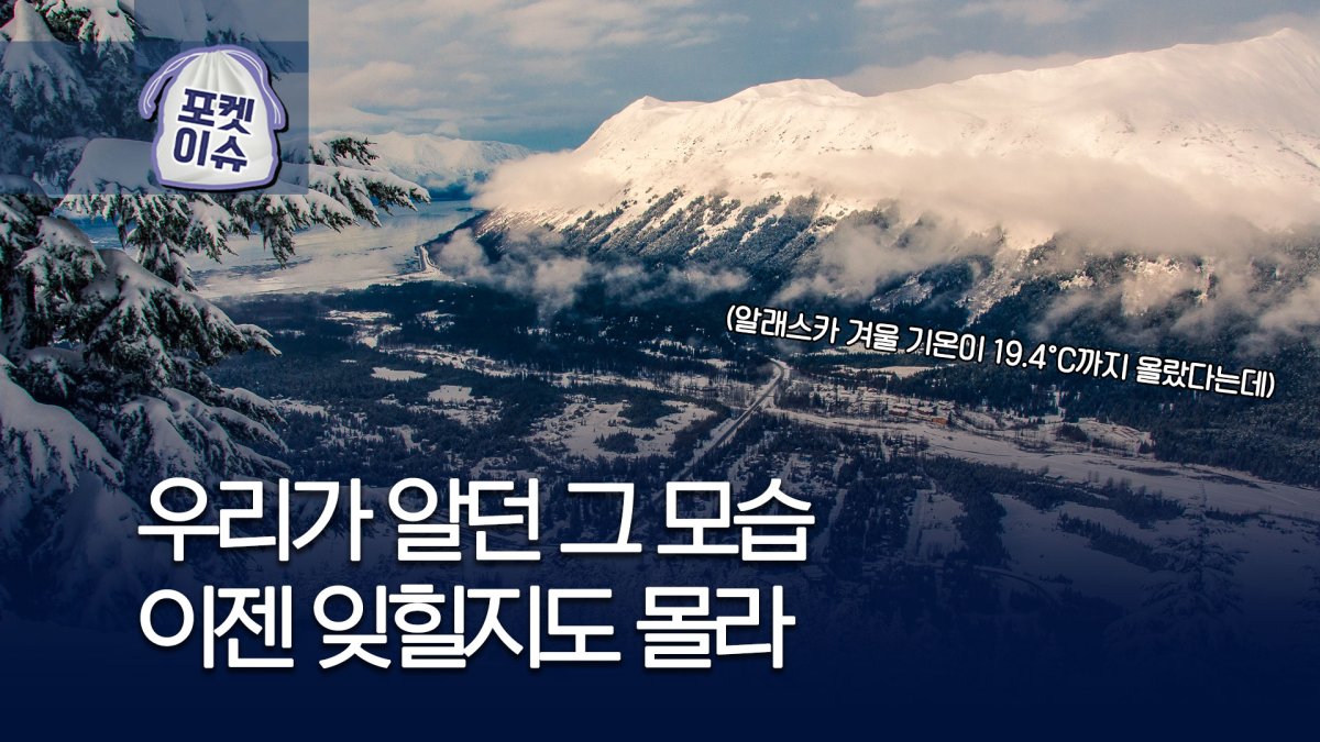 [포켓이슈] 뭐지?…서울보다 따뜻한 알래스카 - 8