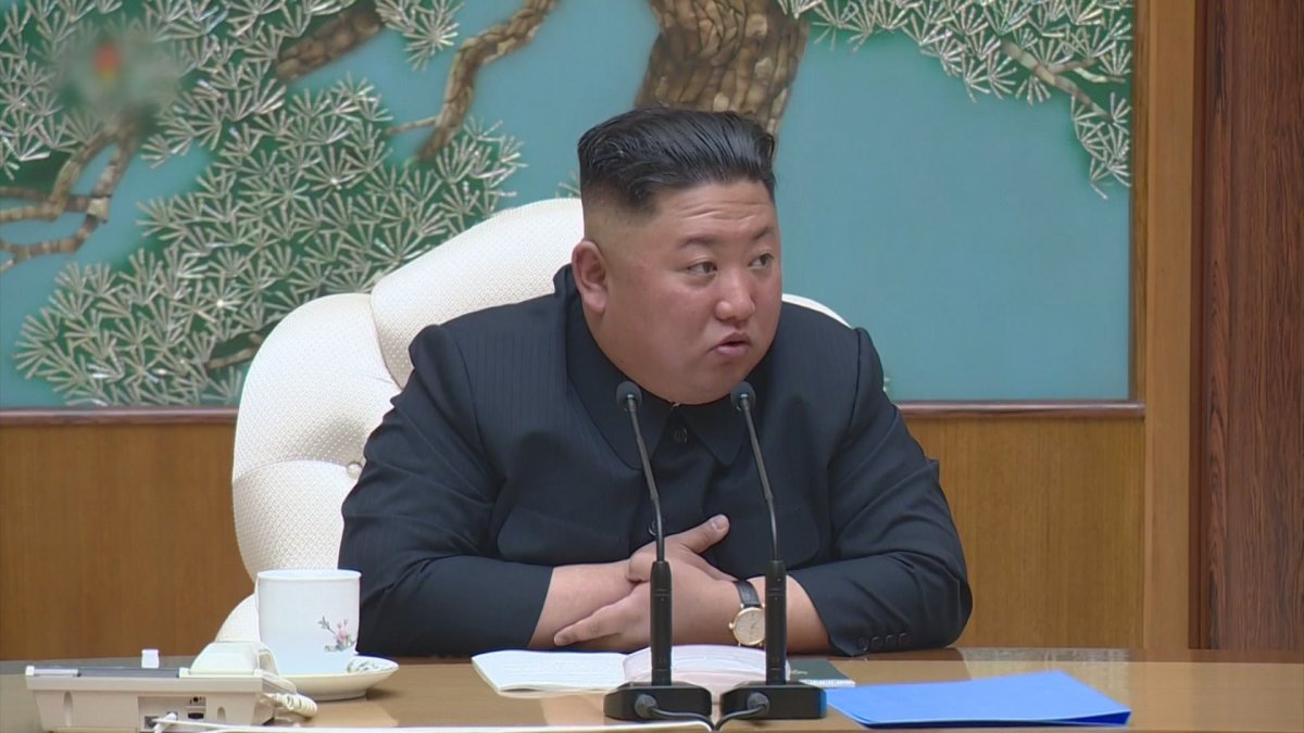 정부, 김정은 신변이상설에 "사실 아냐…특이동향 없다"