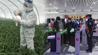 마늘 모종도 핵산검사?…중국 '보여주기식' 방역 경쟁