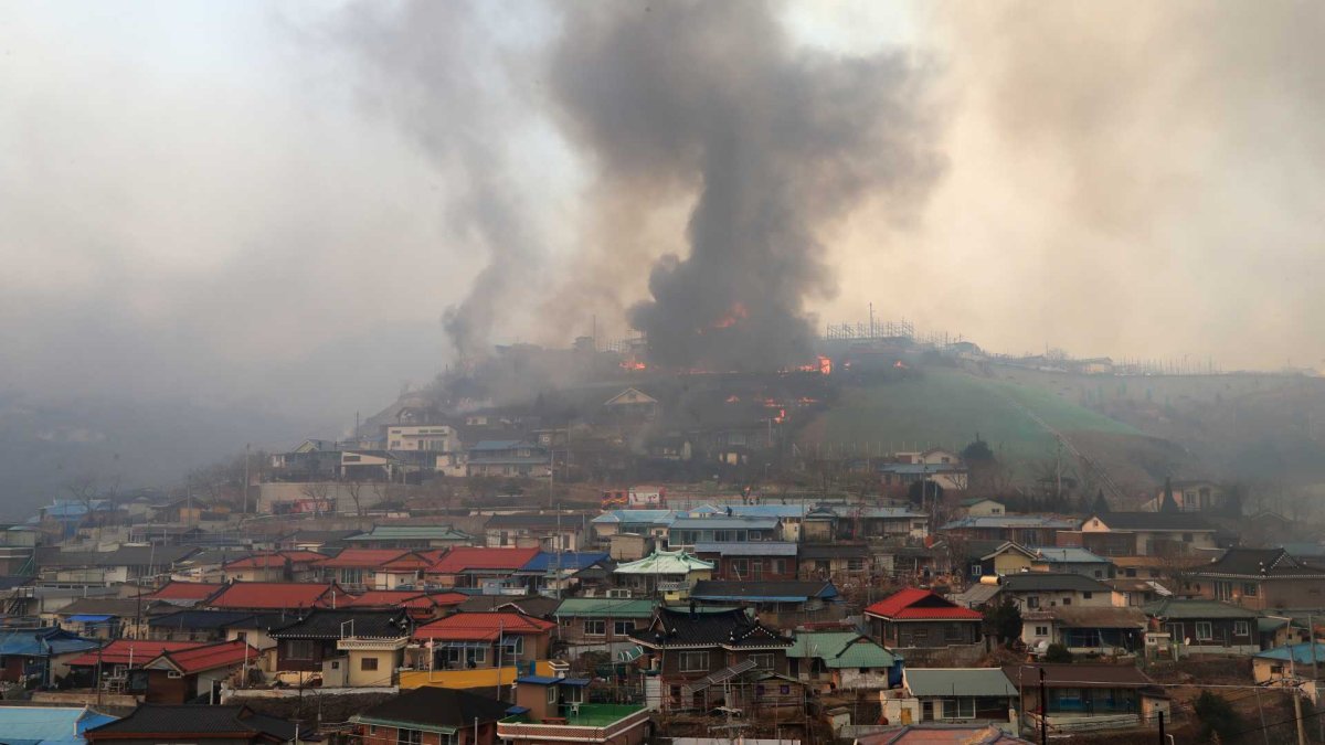 Gangneung wildfire suspect in his 60s arrested...