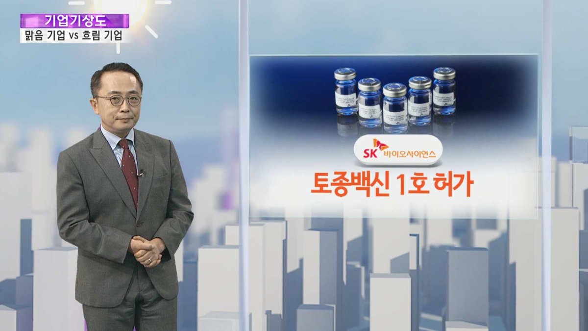 [기업기상도] 출발 신호 난 맑은 기업 vs 장맛비 맞아 젖은 기업 | 연합뉴스