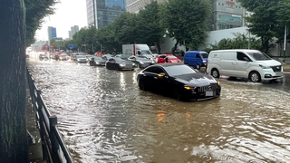 침수에 가로수 넘어지고…인천 강풍·호우 피해 44건