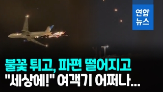 [영상] 시뻘건 불꽃 '펑펑'…256명 태운 미 여객기 이륙 직후 비상착륙