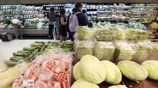 Hausse de 5,0% des prix à la consommation en novembre