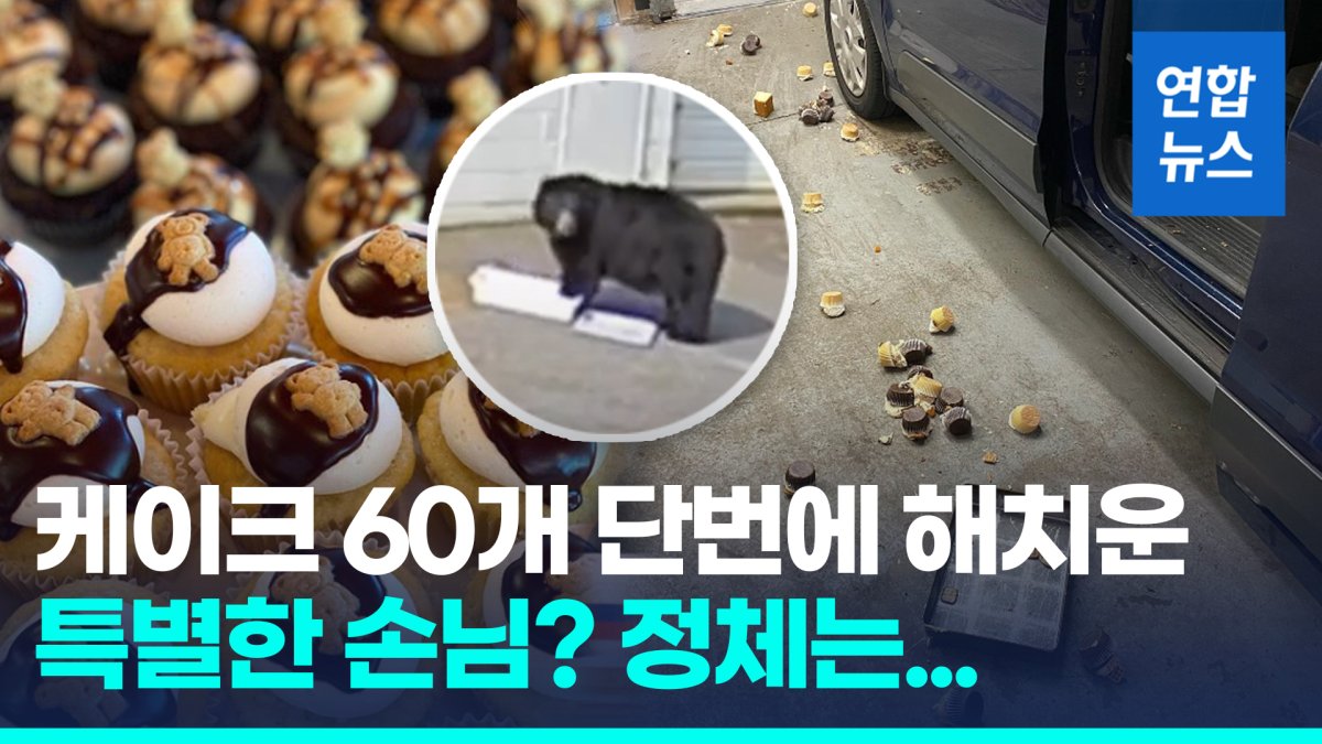  미국 빵집 습격 사건…'흑곰 손님, 컵케이크 60개 드셨습니다'