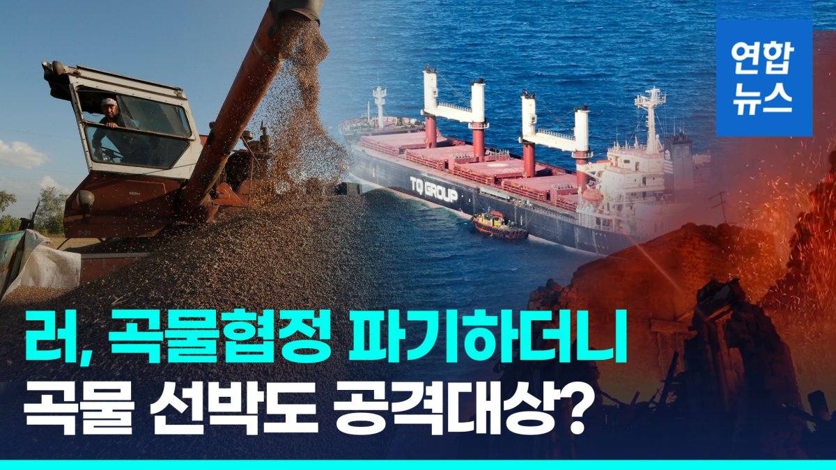 [영상] "흑해 우크라행 선박, 군수품 운반용 간주"…러 속셈 따로있나?