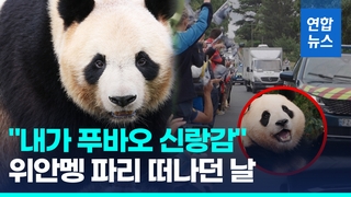  "푸공주 기다릴게"…'푸바오 신랑 후보' 위안멩, 파리 떠나던 날