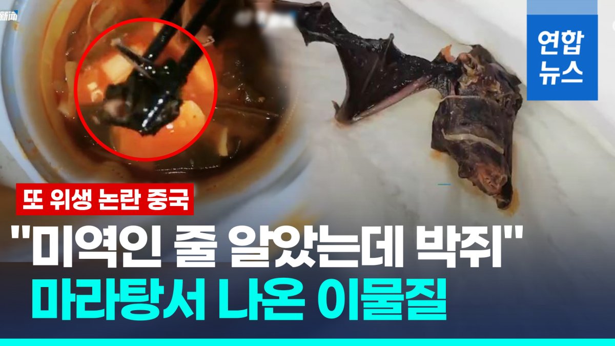 [영상] 즉석 마라탕서 박쥐 몸체 추정 이물질…중국서 또 식품위생 논란