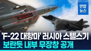 [영상] 두바이쇼 앞두고…러 5세대 스텔스기 내부 무장창 이례적 공개