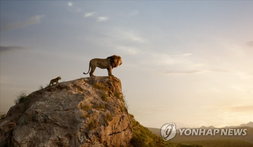 이번엔 라이온 킹 아빠 이야기 디즈니 후속작 제작 연합뉴스