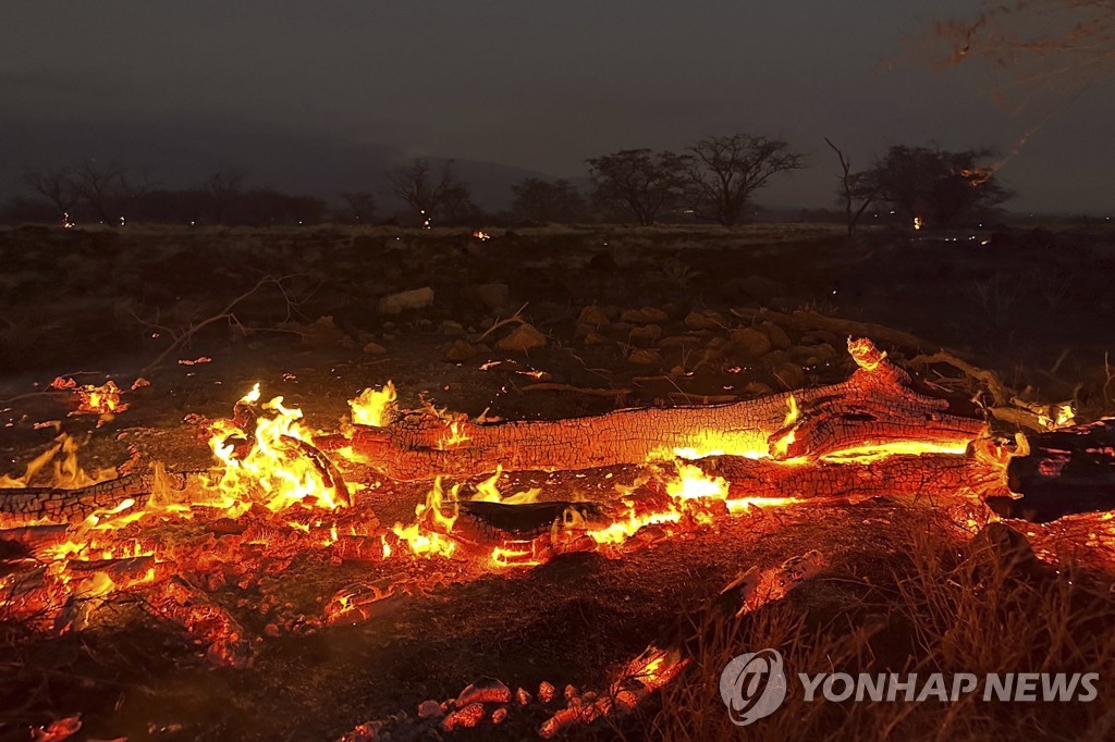 마우이 산불 [AP=연합뉴스]