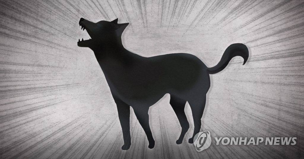 정읍서 유기견 학대하고 농수로에 버린 70대 입건