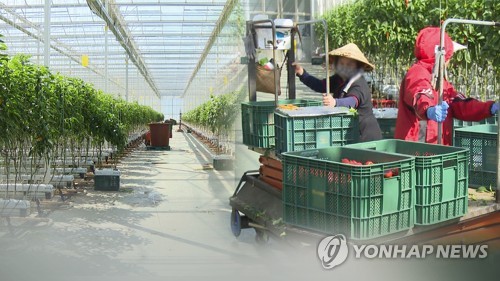 외국인 근로자 입국 지연…농촌 일손 부족 '비상'(CG)