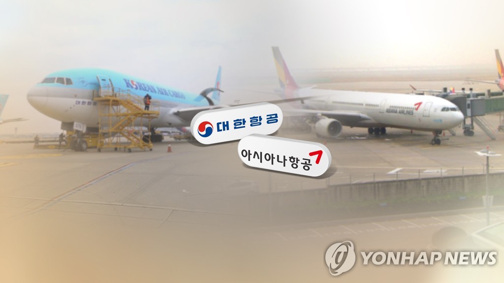 This Yonhap News TV image shows Korean Air and Asiana Airlines' planes in local airports. (Yonhap)