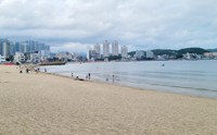 부산 기장 앞바다서 심정지 상태로 발견된 해녀 2명 숨져