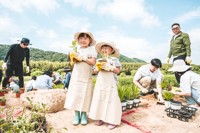 울산 태화강국가정원 봄꽃축제 성료…34만명 발길