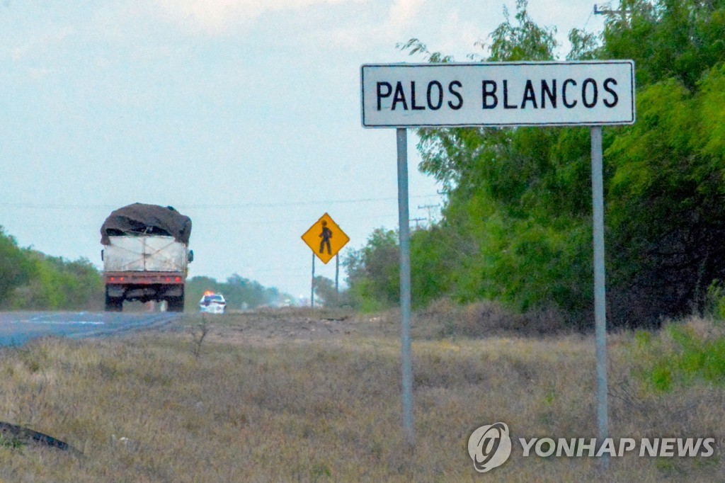 타마울리파스 주 팔로스 블랑코스 지역의 도로를 운행하는 트럭 [AFP=연합뉴스 자료 사진]