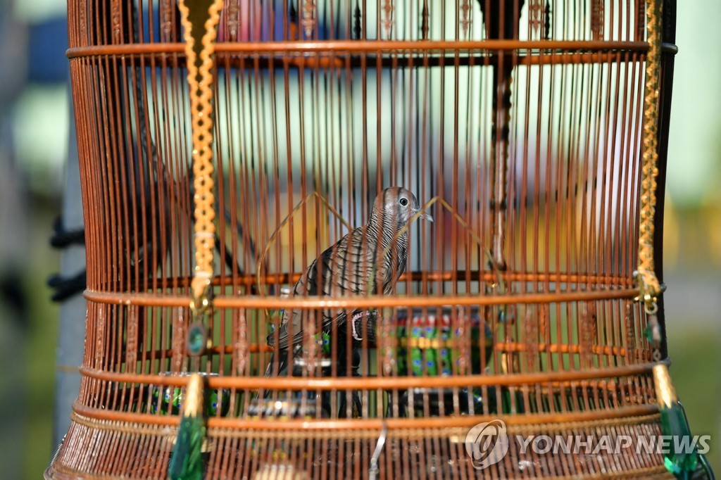 THAILAND-ANIMAL-BIRD