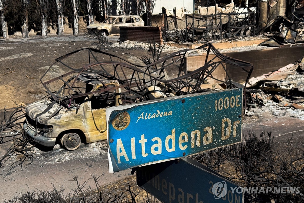 LA 산불로 불탄 자동차