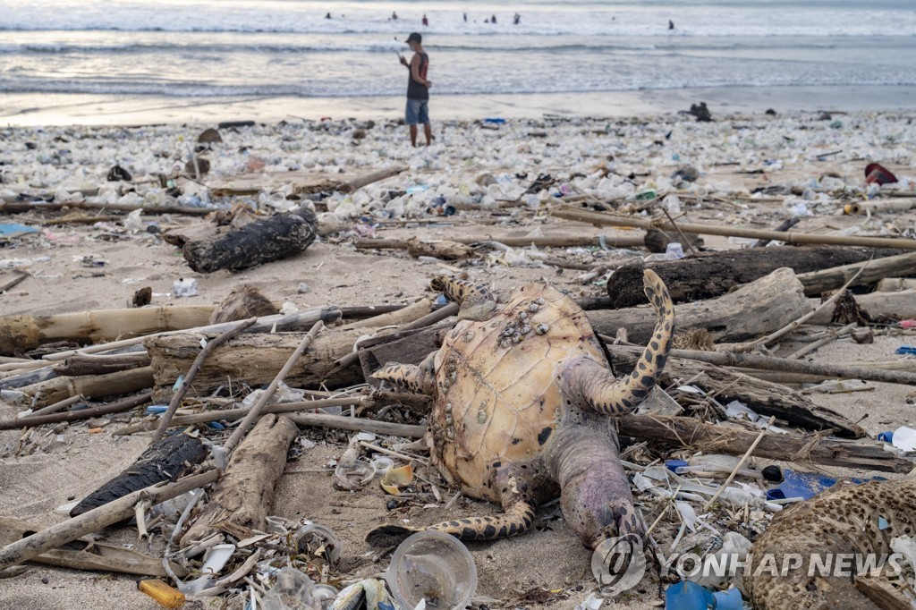 쓰레기로 뒤덮인 발리섬 쿠타 해변의 모습. 바다거북 사체도 보인다.