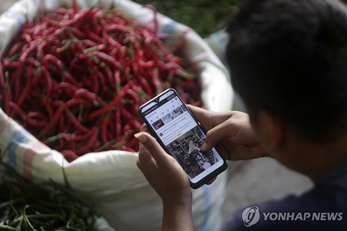 스마트폰 사용자