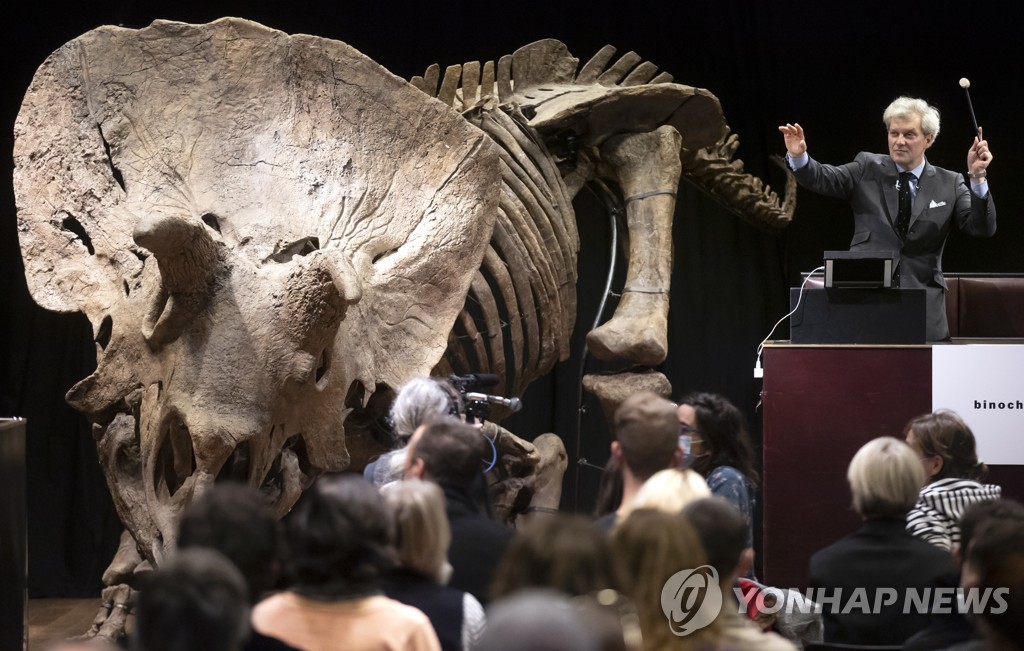길이만 7ｍ…'세계 최대' 트리케라톱스 화석 90억원에 낙찰 
